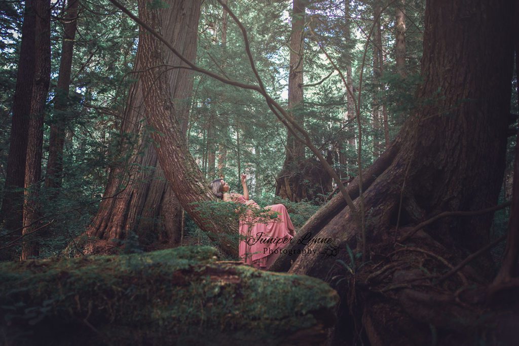 Romantic and adventurous woman on tree in Hoh Rainforest Washington for Destination photo session with Juniper Lynne Photography of Gig Harbor